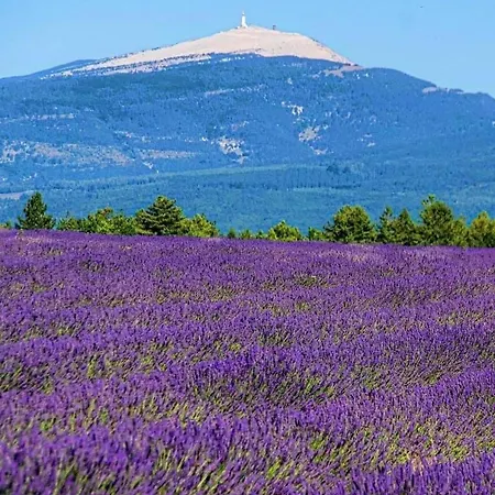 Domaine Du Moulin De Villefranche
